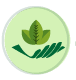 healthcare nutrition
