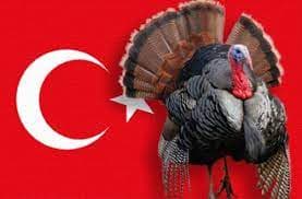 turkey
