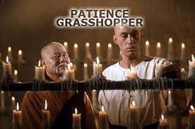 Where does that phrase come 'patience young grasshopper' ?