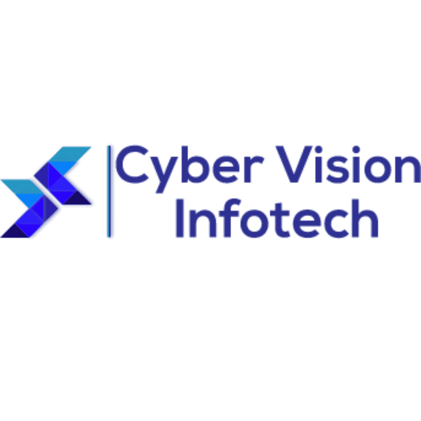 Cyber Vision Infotech Pvt Ltd.