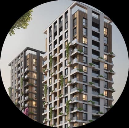 Prestige Evergreen