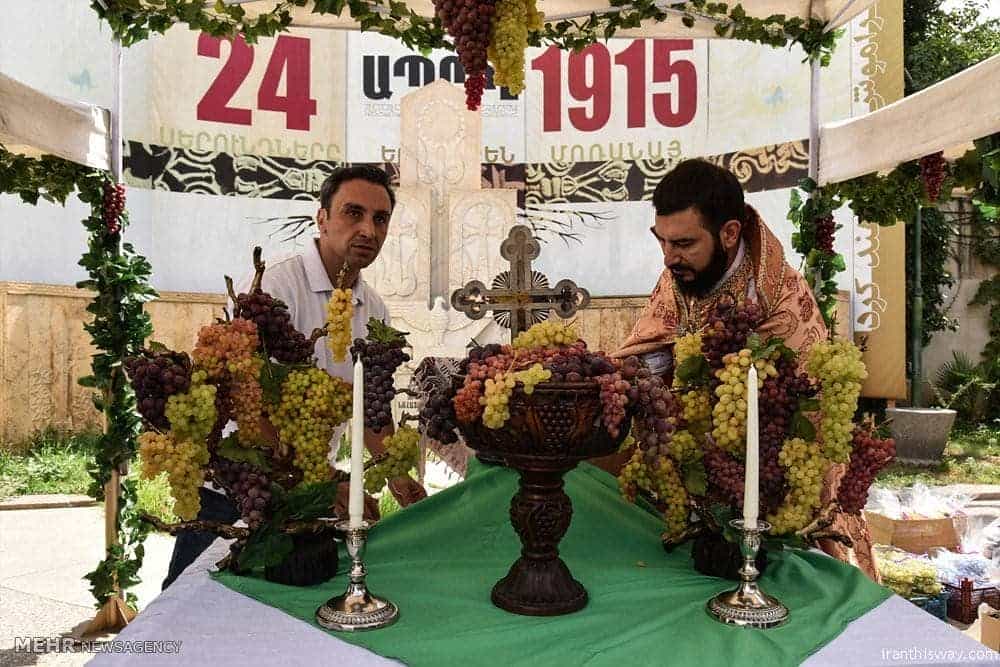 Grappling with Grapes