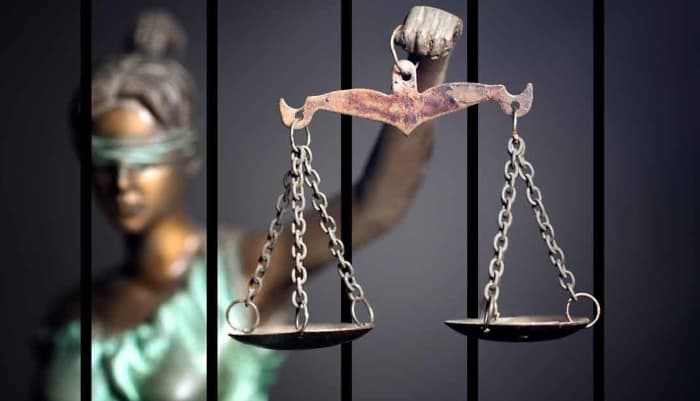 General vs Open Categories in Education: Key Differences