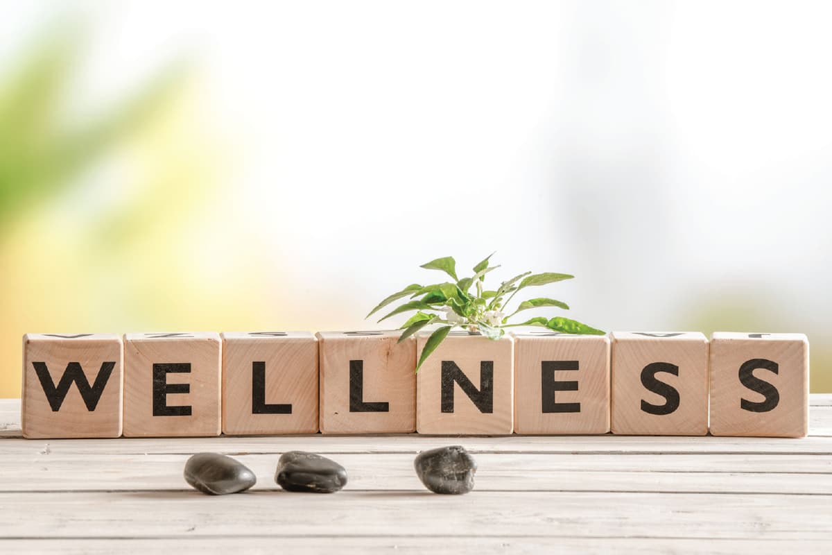 What is the Nurturing Wellness? - Letsdiskuss