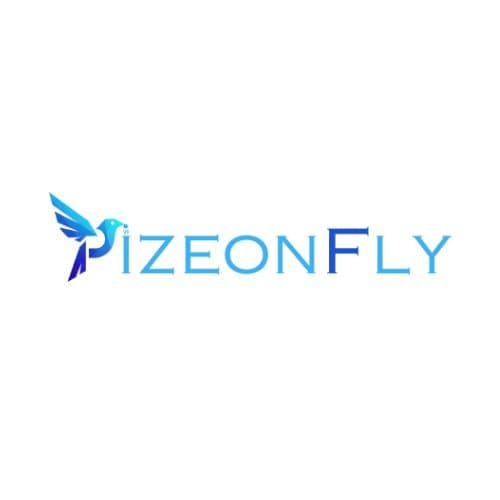 Pizeon fly