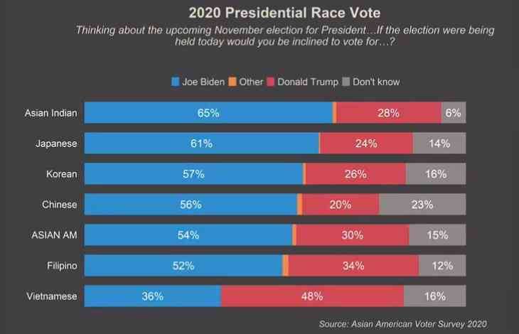 2020 Presidental Race Vote