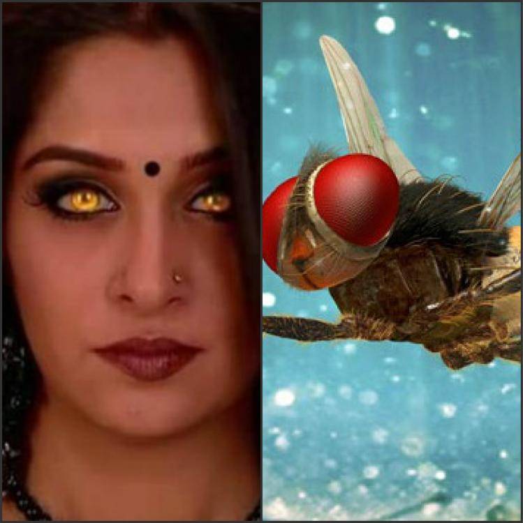 dumb-indian-television-shows-letsdiskuss